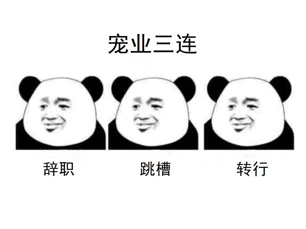 1516328039820308.jpg