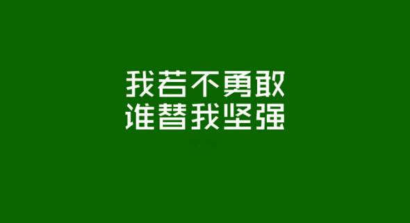 我開寵物店這些年之勇敢
