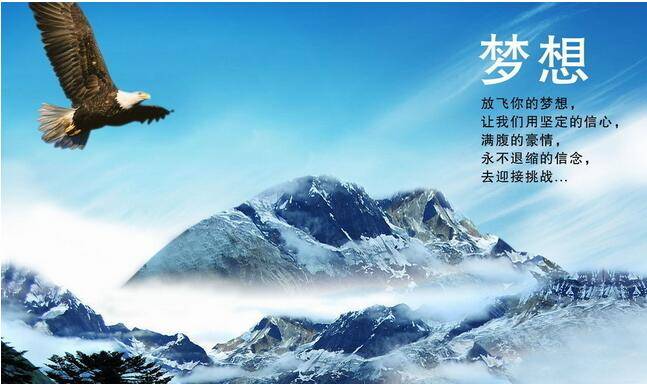 我開寵物店這些年之夢(mèng)想
