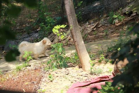 IMG_5405.JPG