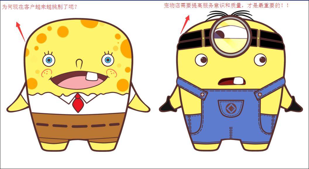 開寵物店提高服務意識走過的彎路