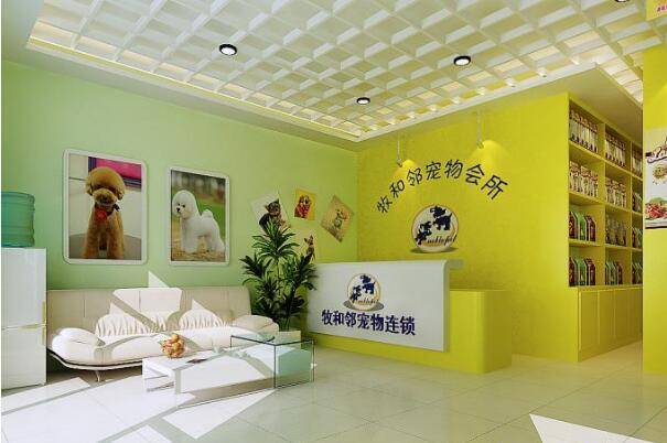 寵物店精美裝修效果圖2