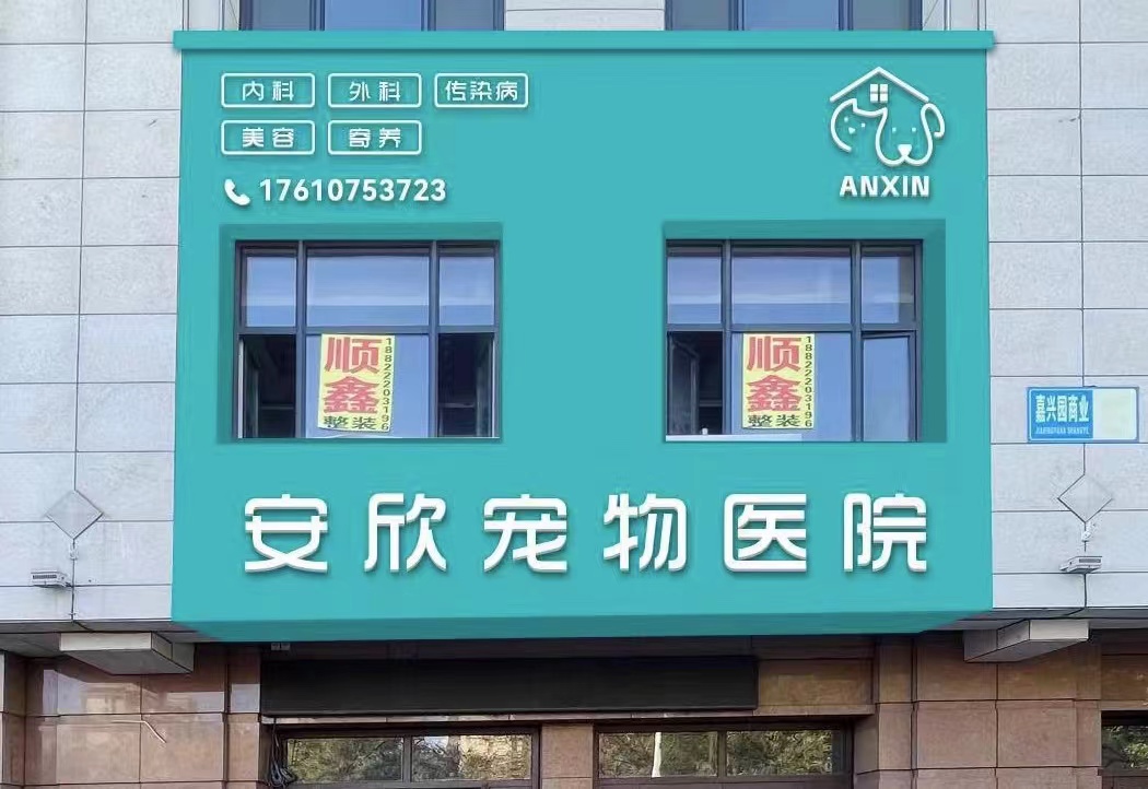 张坤
