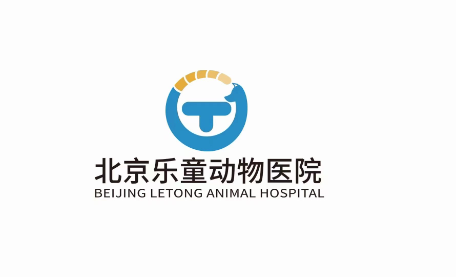 许正杰