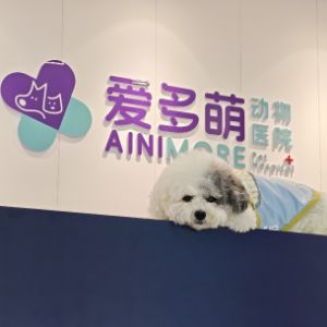 任女士