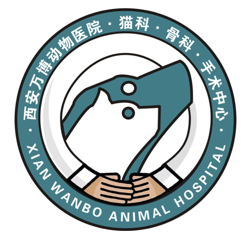 谭医生