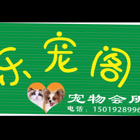 胡生