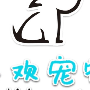 朱先生
