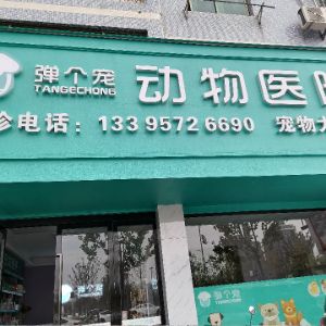 沈先生