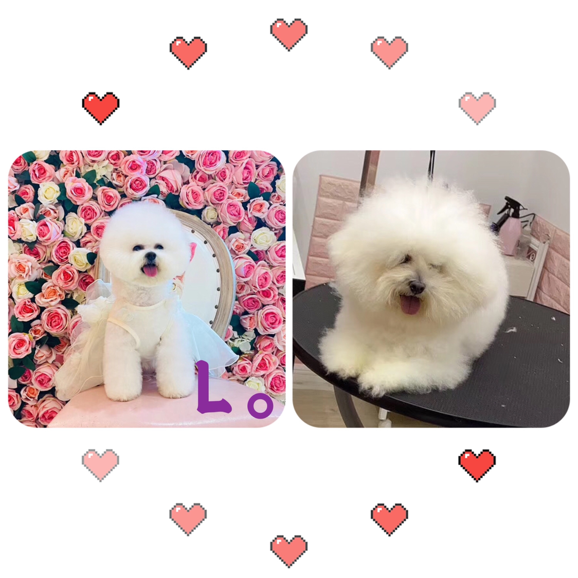 李