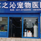 帅女士