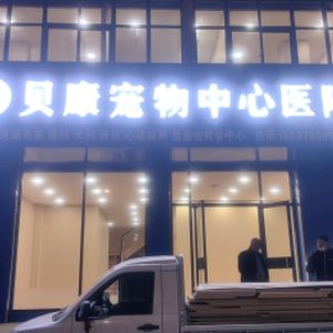 付龙