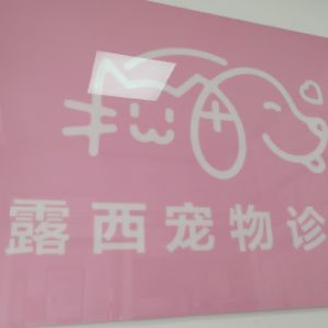 张江江