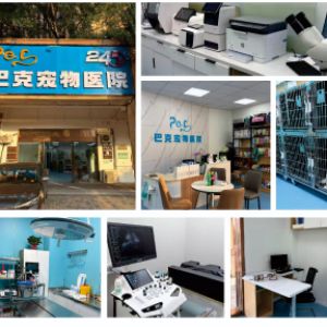 南京江北新区巴克宠物医院(个体工商户)