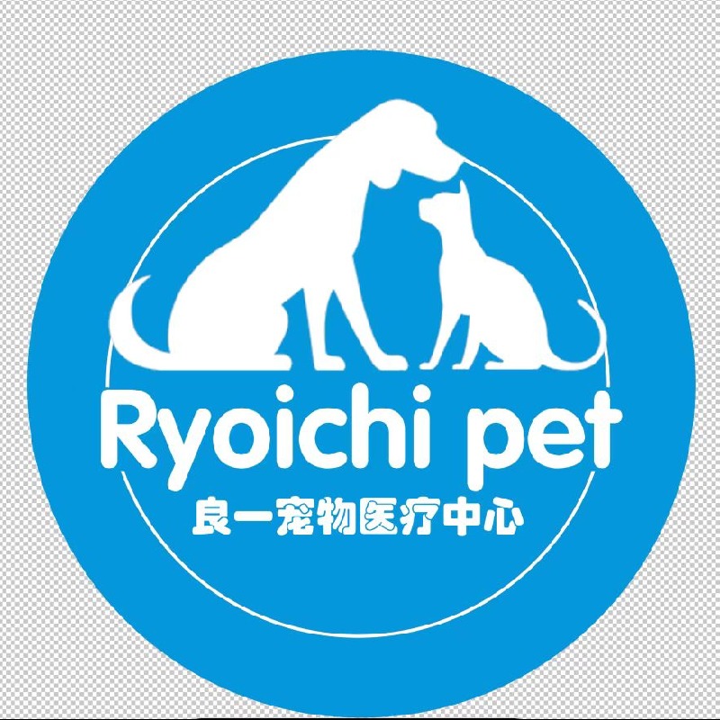 易思成