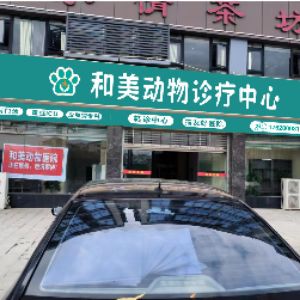 杨医生