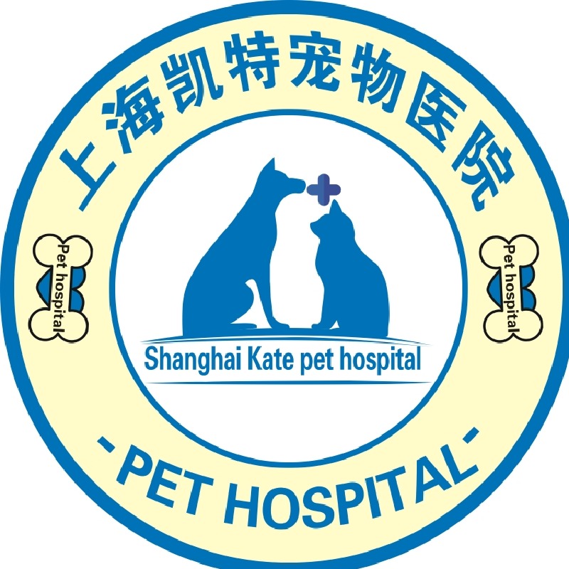 王刚