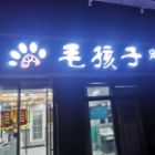 杨招磊