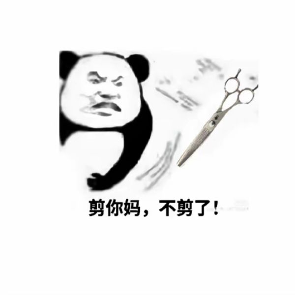 踏实的陈玄风