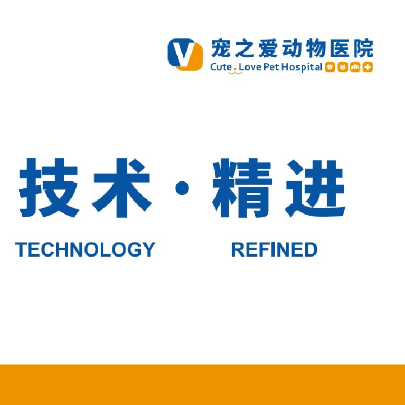 曾凡艳 · 人事经理
