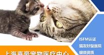 上海嘉豪宠物诊所有限公司