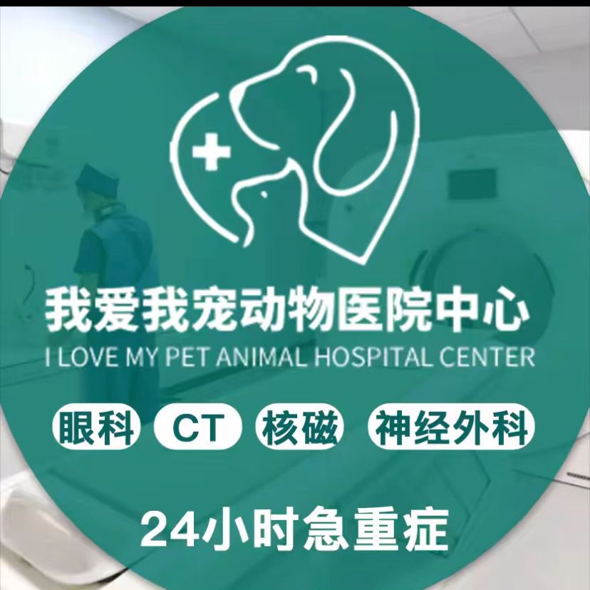 青岛我爱我宠24H动物医院中心·CT核磁