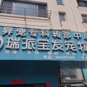 慈医生