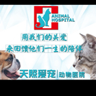 张宇