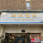 紫薇格格
