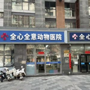 北京全心全意迪赛动物医院有限公司