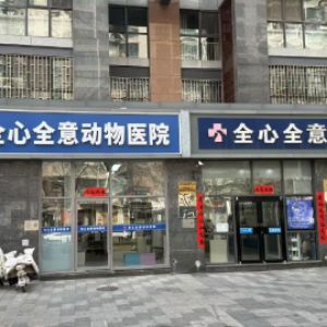 吴亦