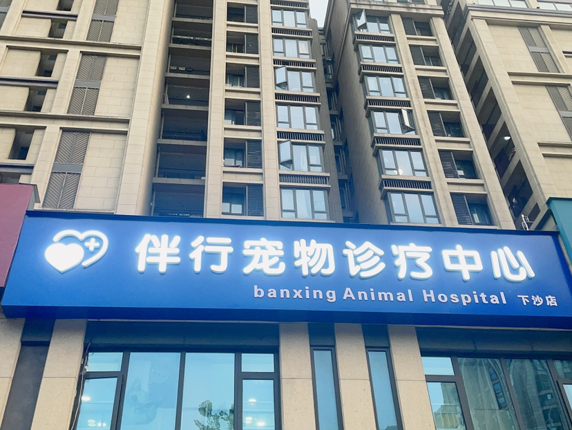 史宏伟