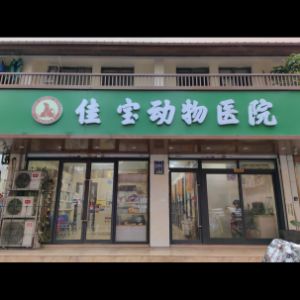杭州市上城区佳宝动物医院