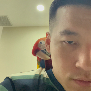 傅