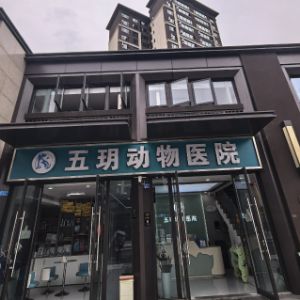 成都五玥动物医院有限公司