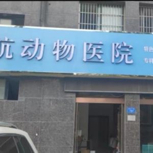 胡晓宇