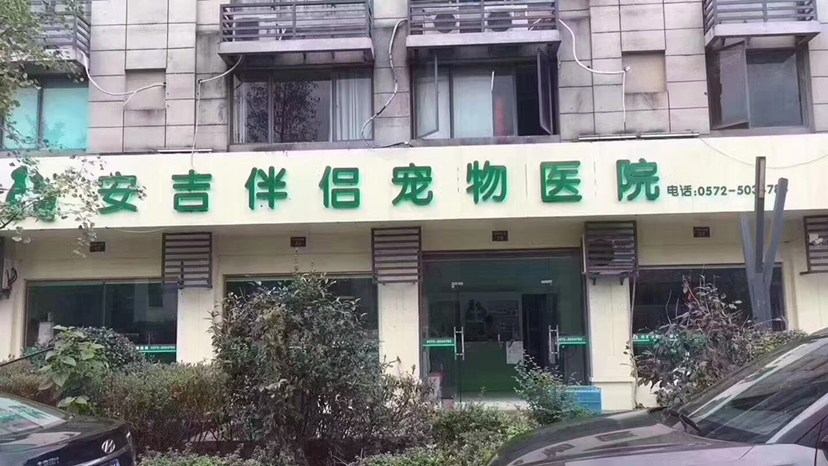 杨东
