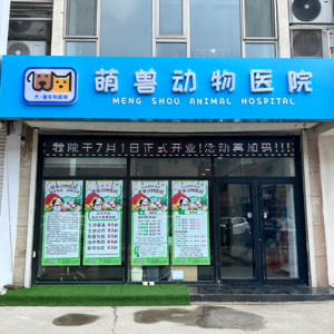 韩帅