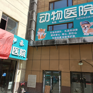 赵梓焱
