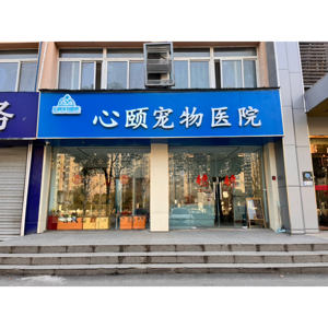 梁燕