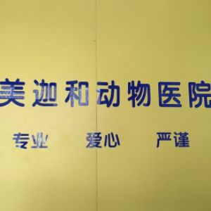 白院