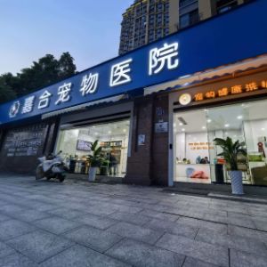 王琦
