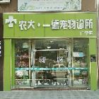 莫小姐