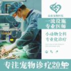 刘院长 · 老板