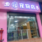梁欣