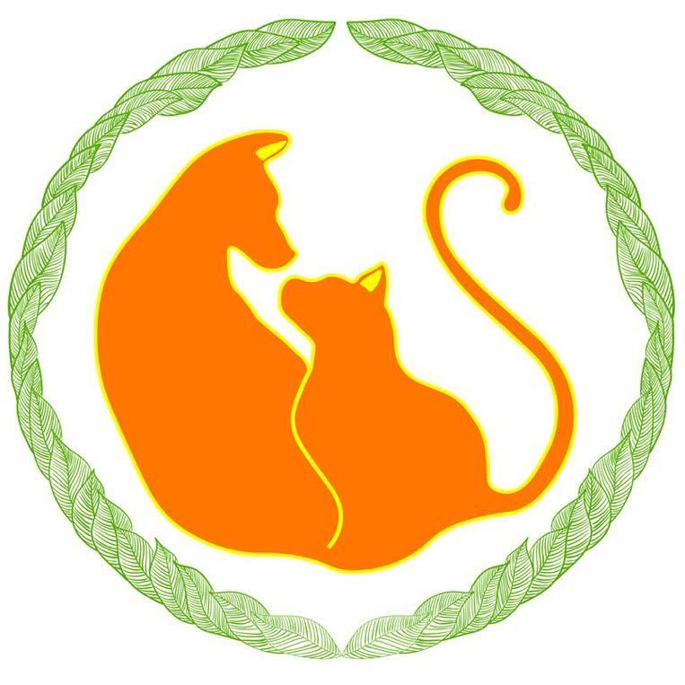 杨先生
