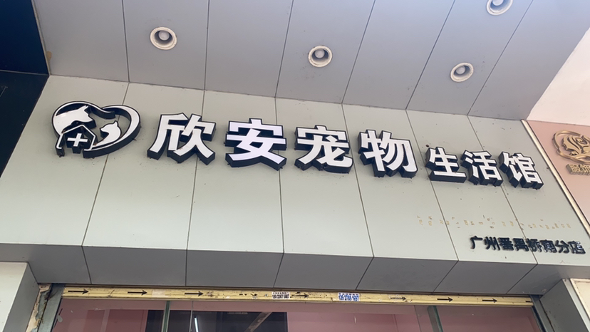 心安
