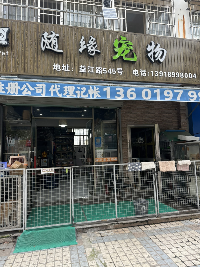 上海浦东新区 50平米 宠物店 5万 对外转让承包