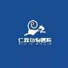 丁阳芝
