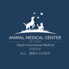 石小姐